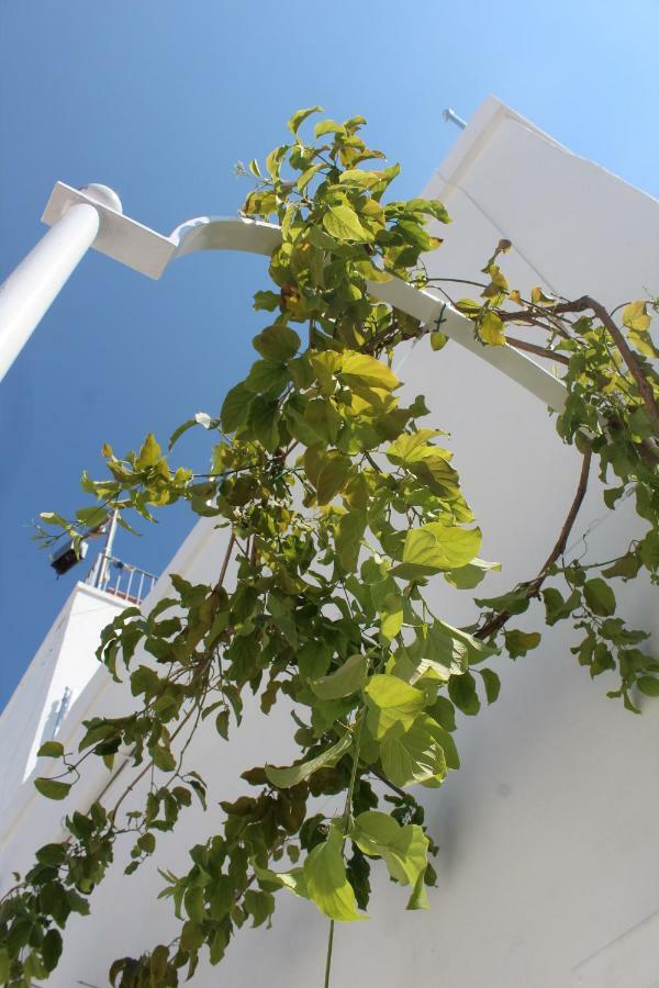 L'Angolo Di Ostuni - Home&Terracex4 Екстер'єр фото