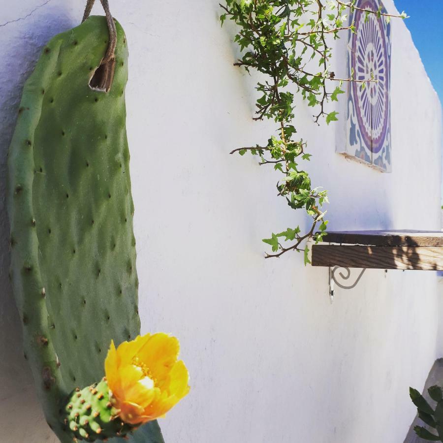 L'Angolo Di Ostuni - Home&Terracex4 Екстер'єр фото
